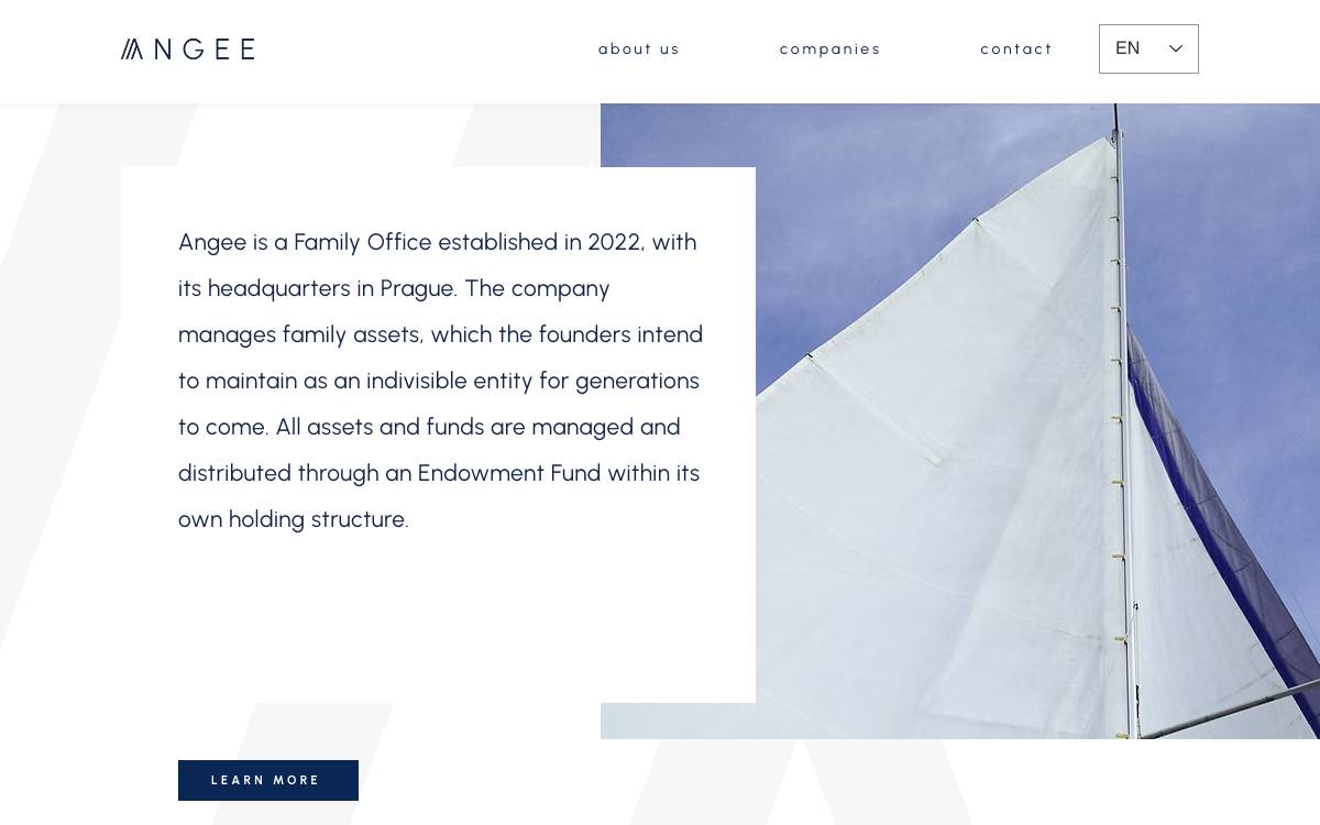Angee Capital website preview