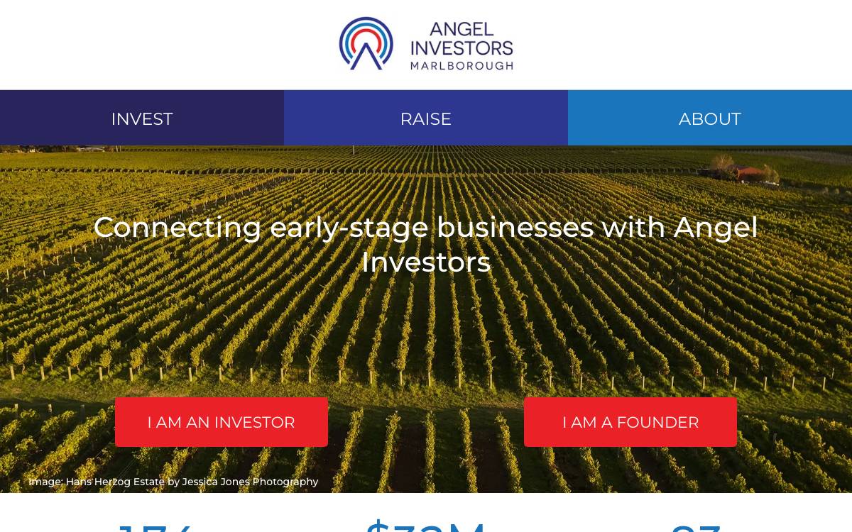 Angel Investors Marlborough website preview
