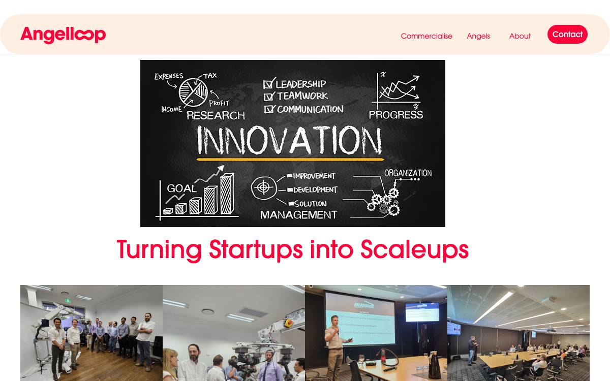 Angel Loop website preview