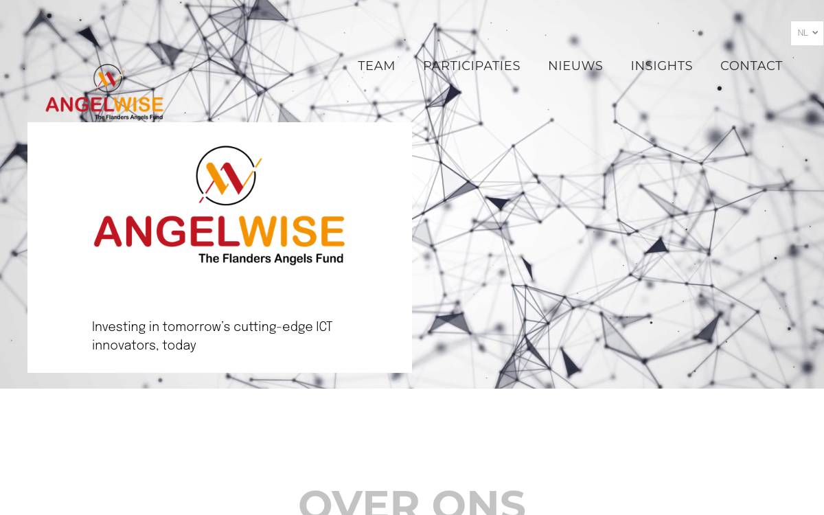 Angelwise website preview
