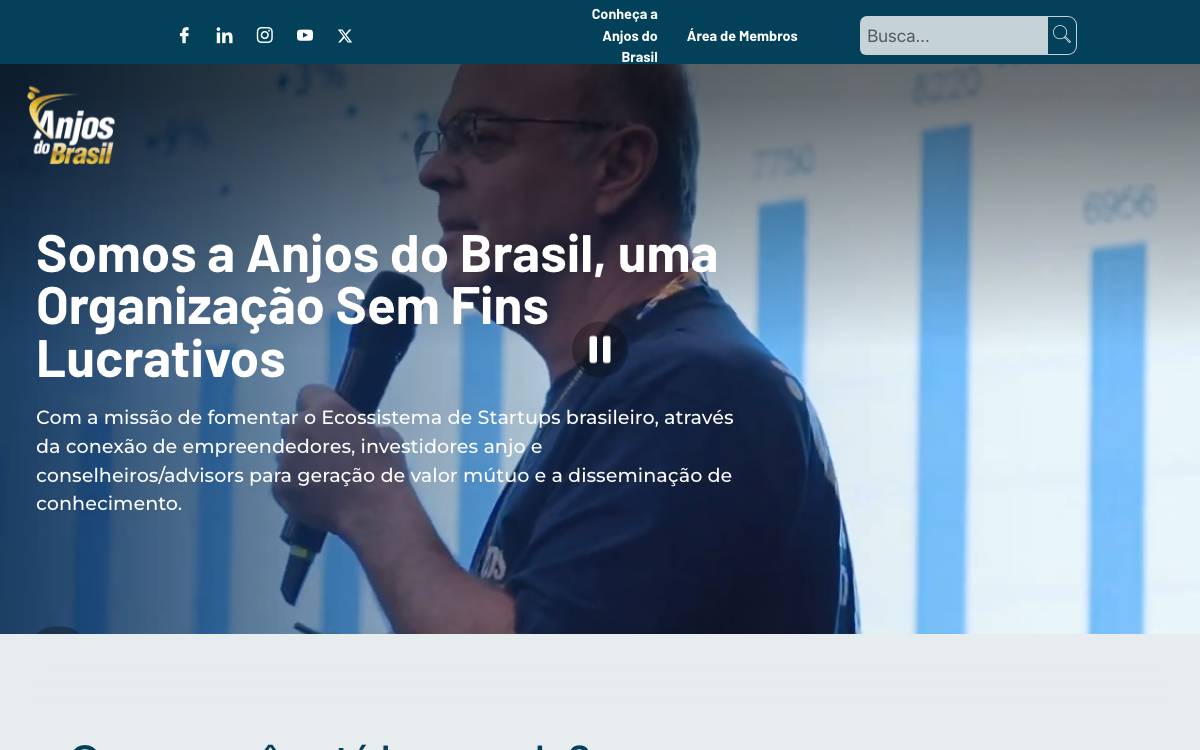 Anjos do Brasil website preview