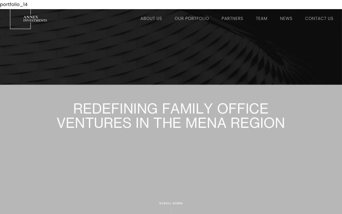 Annex Investments website preview