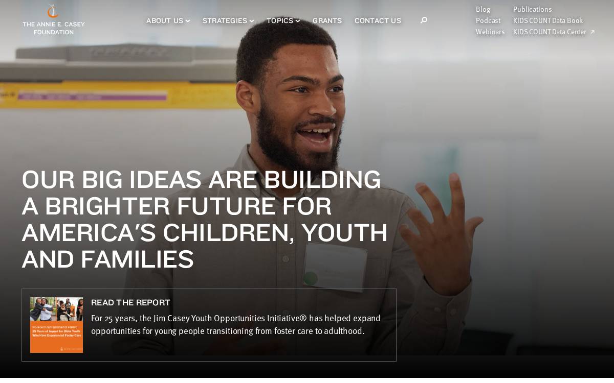Annie E. Casey Foundation website preview