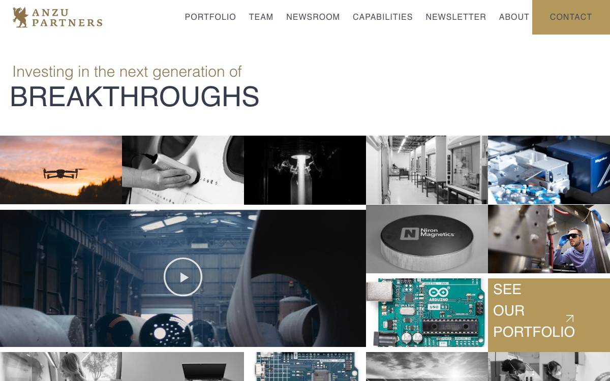 Anzu Partners website preview