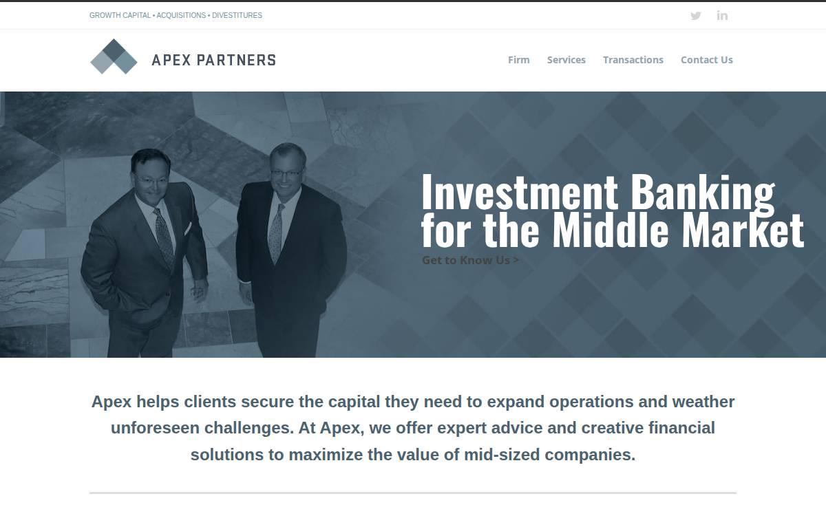 APEX Partners website preview