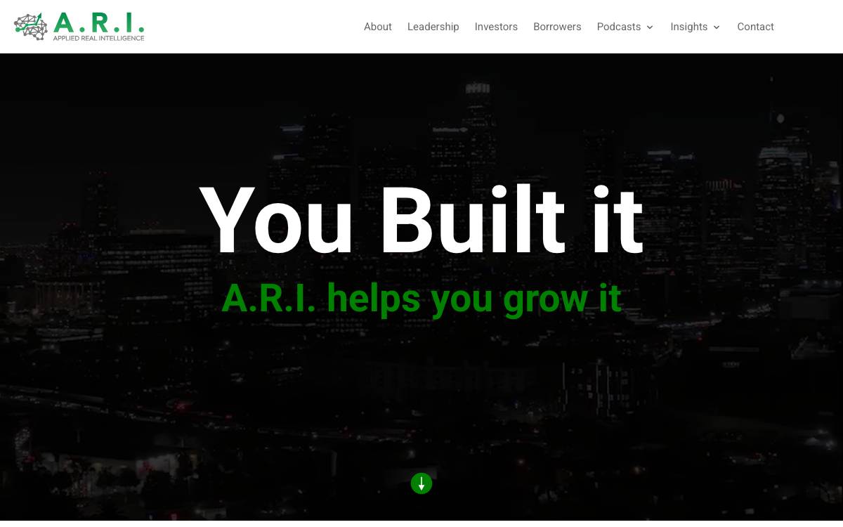 Applied Real Intelligence (A.R.I.) website preview
