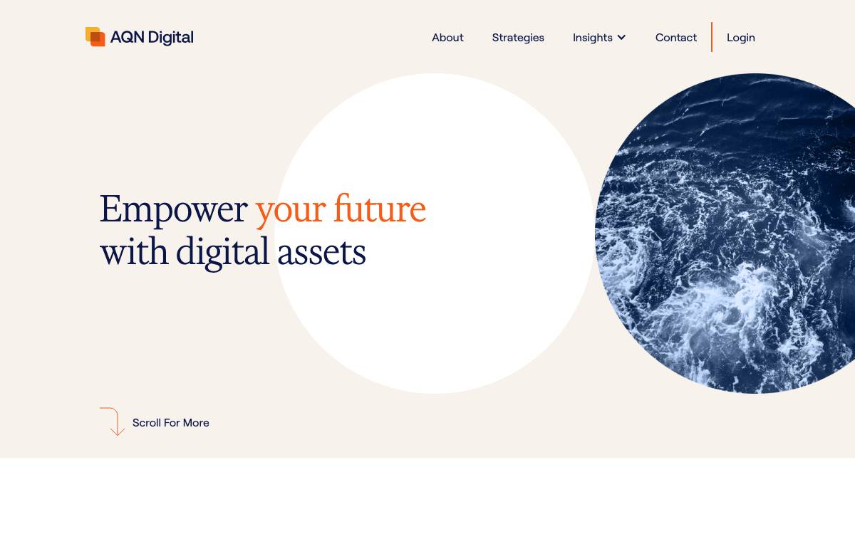AQN Digital website preview