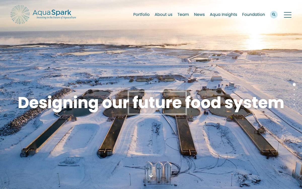 Aqua Spark website preview