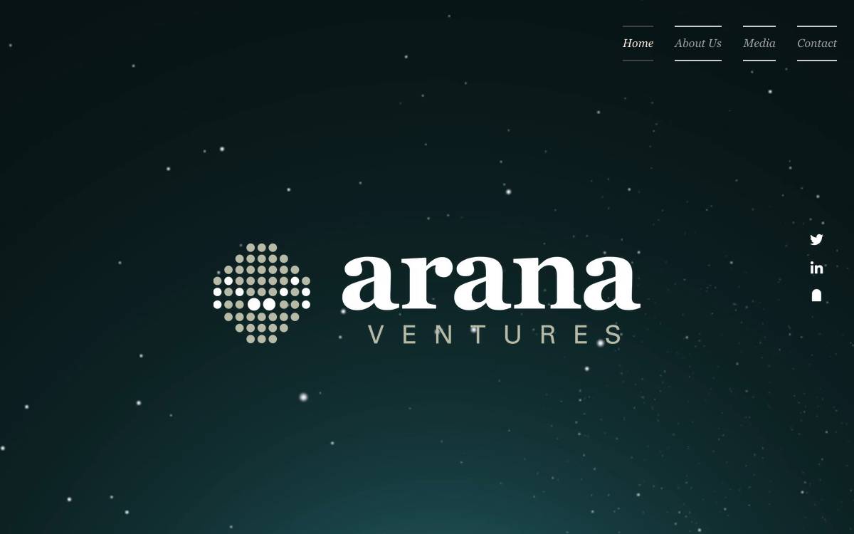 Arana Ventures website preview