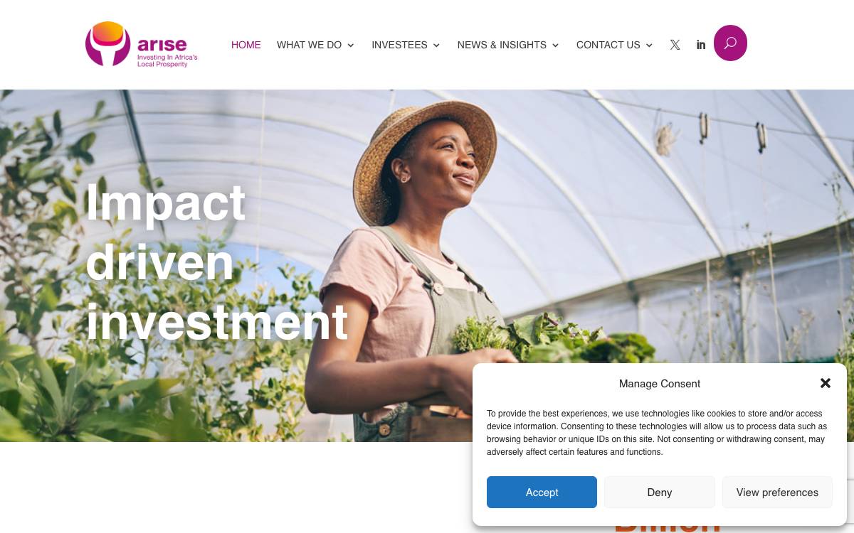 ARISE website preview