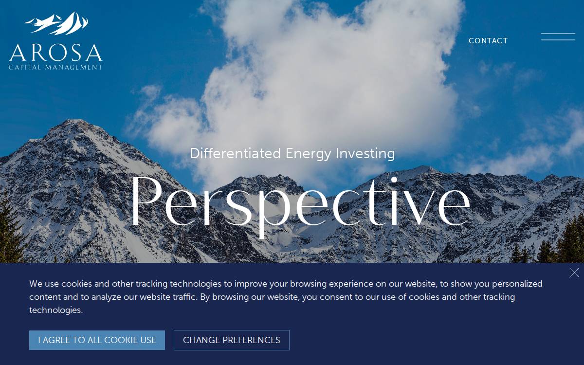 Arosa Ventures website preview