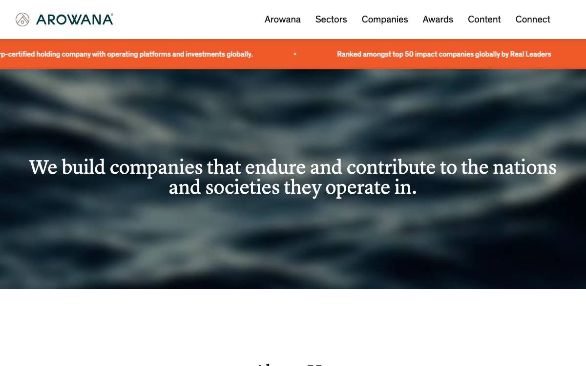 Arowana Partners website preview