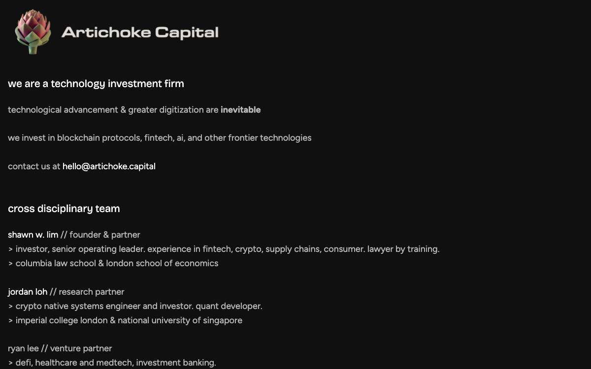 Artichoke Capital website preview