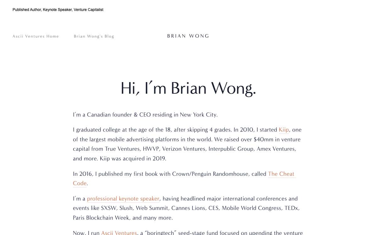 Ascii Ventures website preview