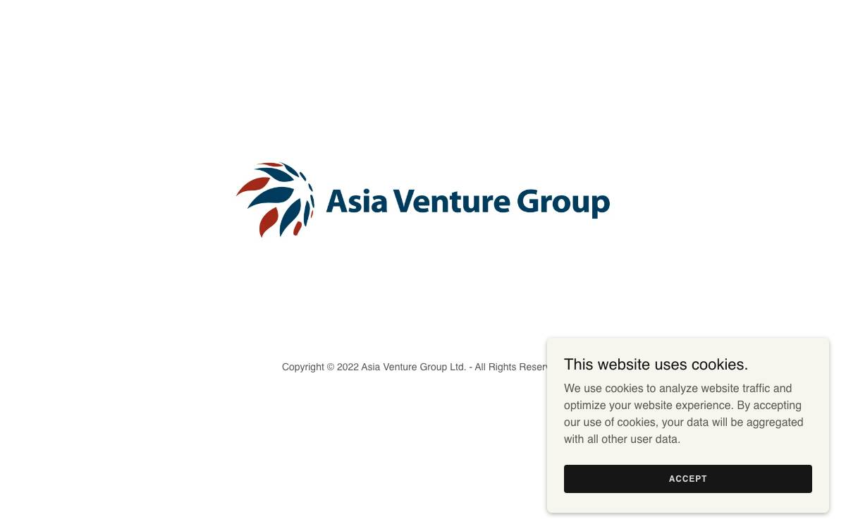 Asia Venture Group website preview