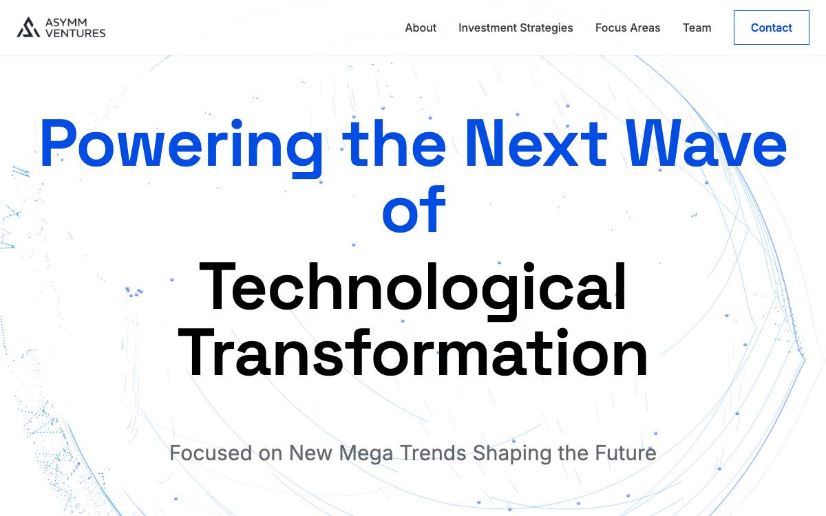 Asymm Ventures website preview