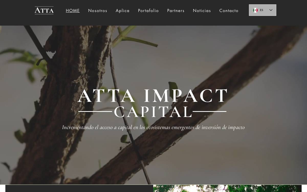 ATTA Impact Capital website preview