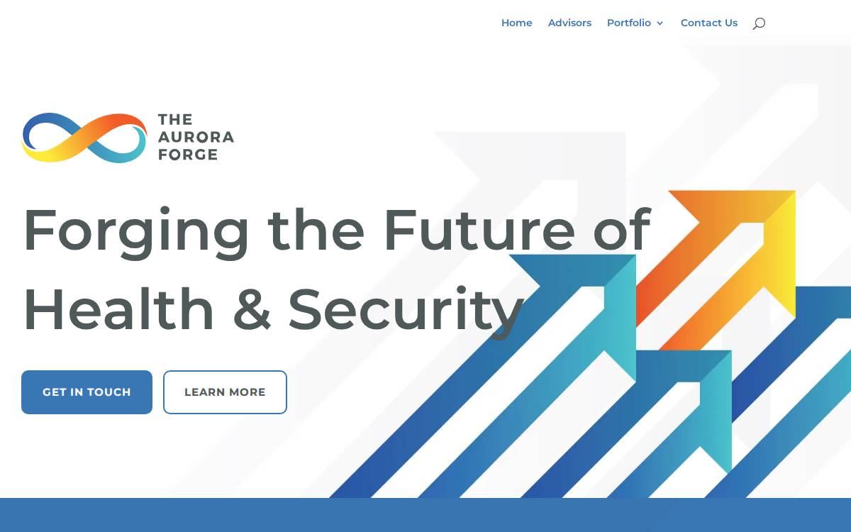 Aurora Forge website preview