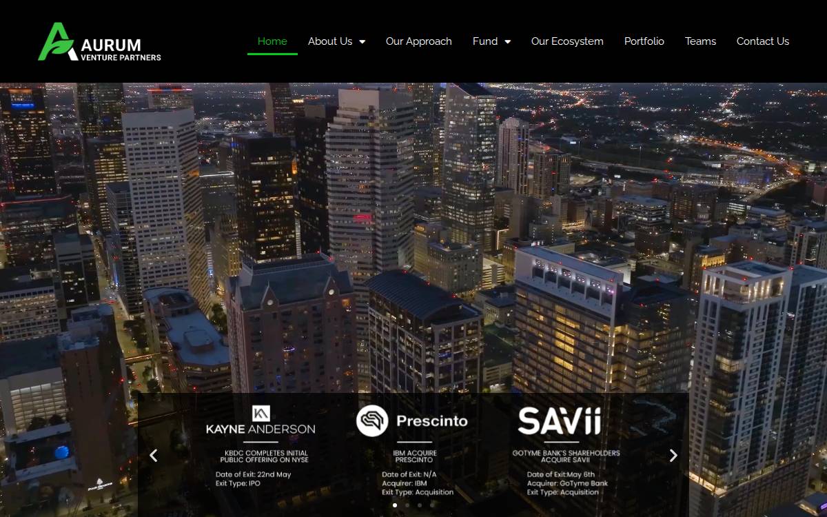 Aurum Venture Partners website preview