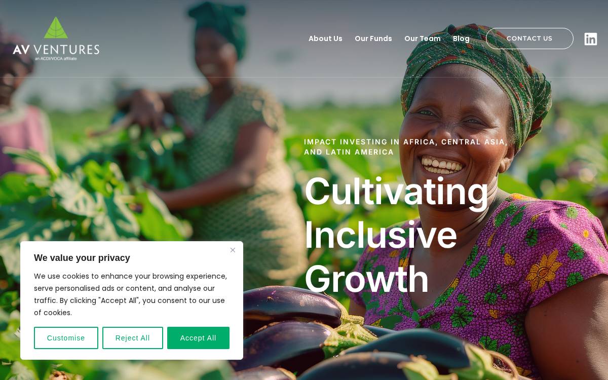 AV Venture website preview