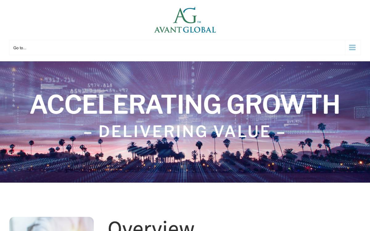 Avant Global LLC website preview