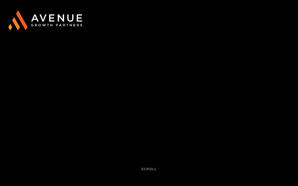 Avenue Growth Partners website preview