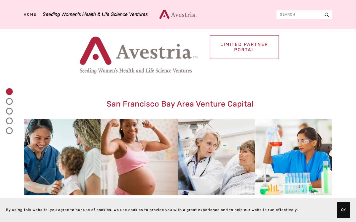 Avestria Ventures website preview