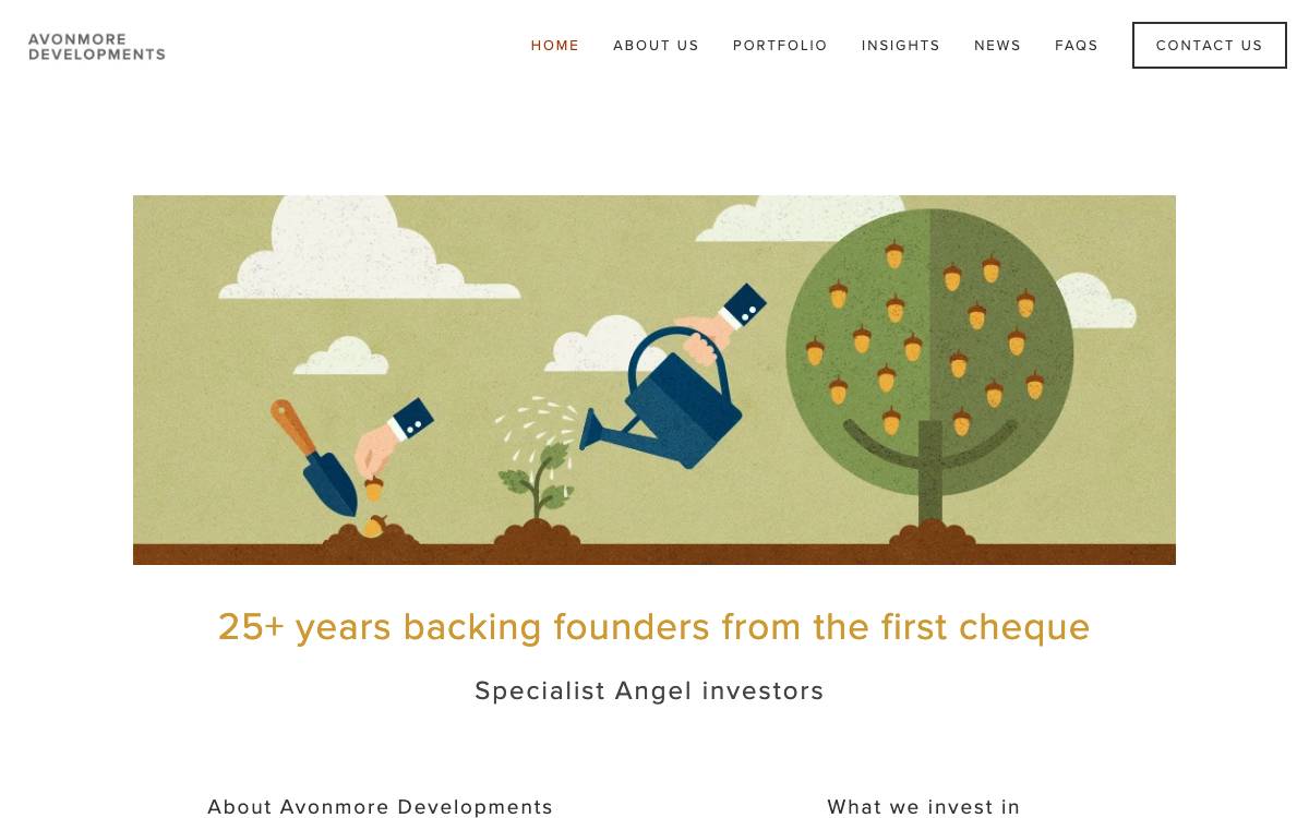 Avonmore Developments website preview