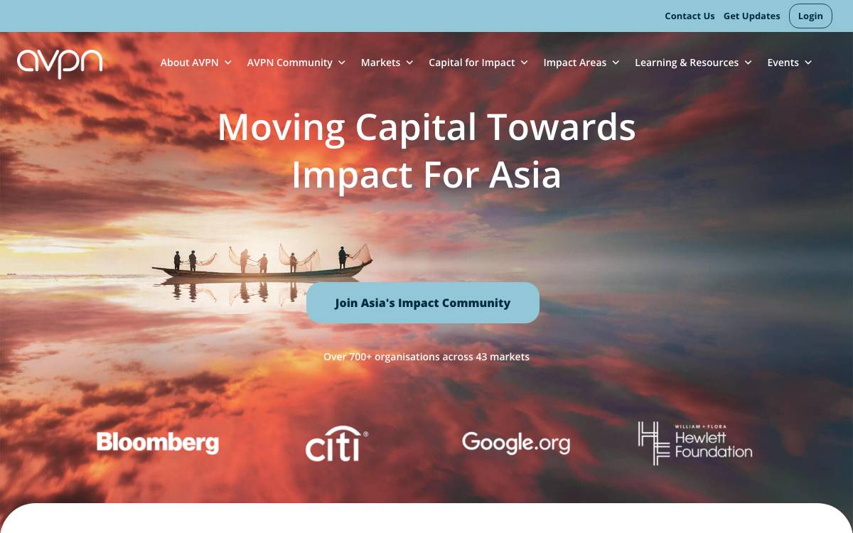 AVPN website preview