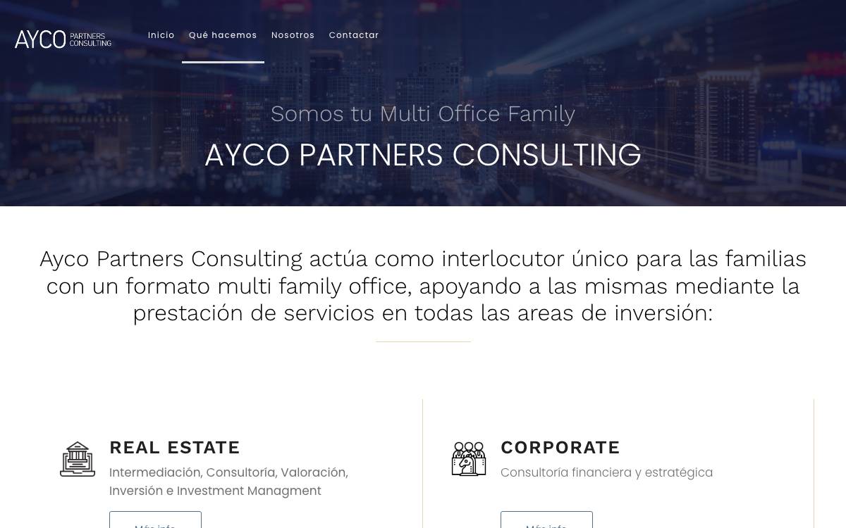 Ayco Partners Consulting website preview