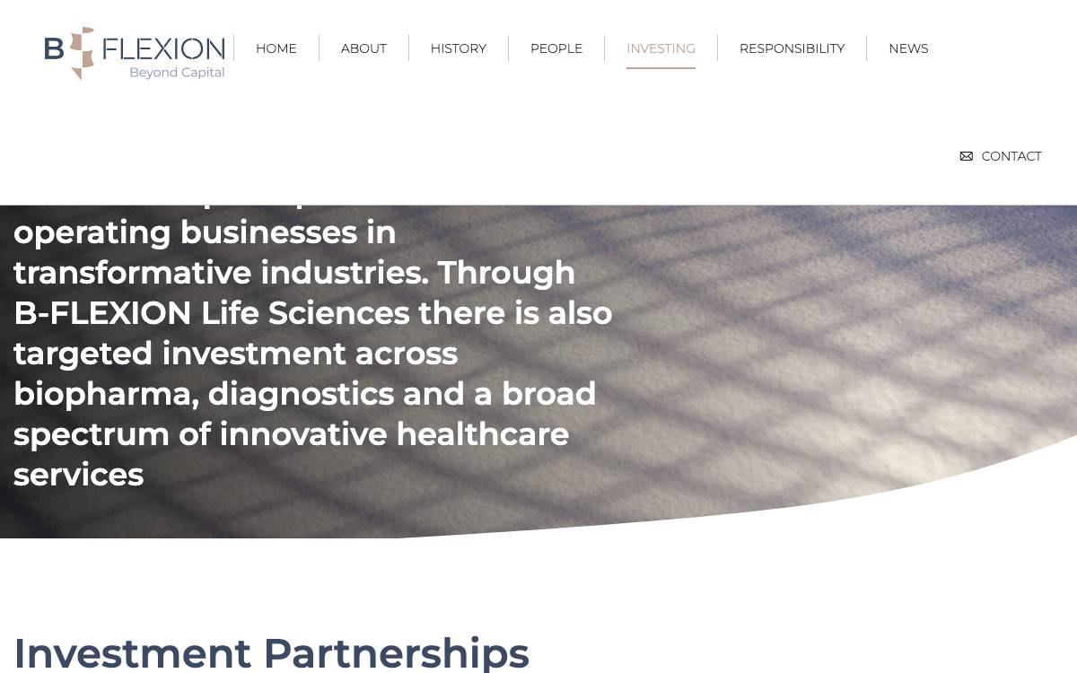 B-FLEXION website preview
