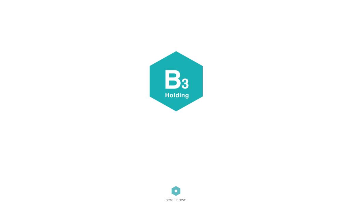 B3 Holding website preview