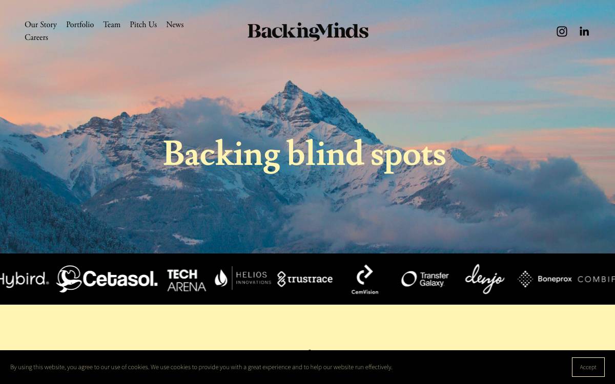 BackingMinds website preview