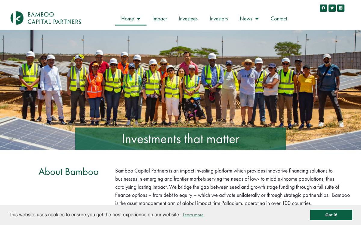 Bamboo Capital Partners website preview