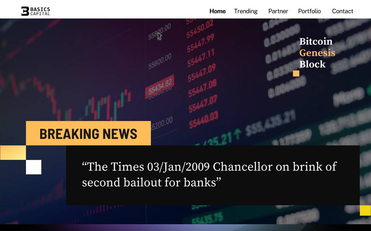 Basics Capital website preview