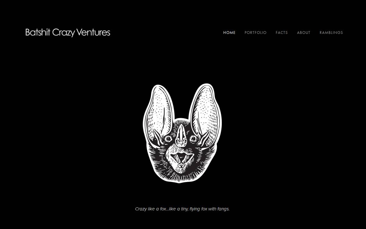 Batshit Crazy Ventures website preview