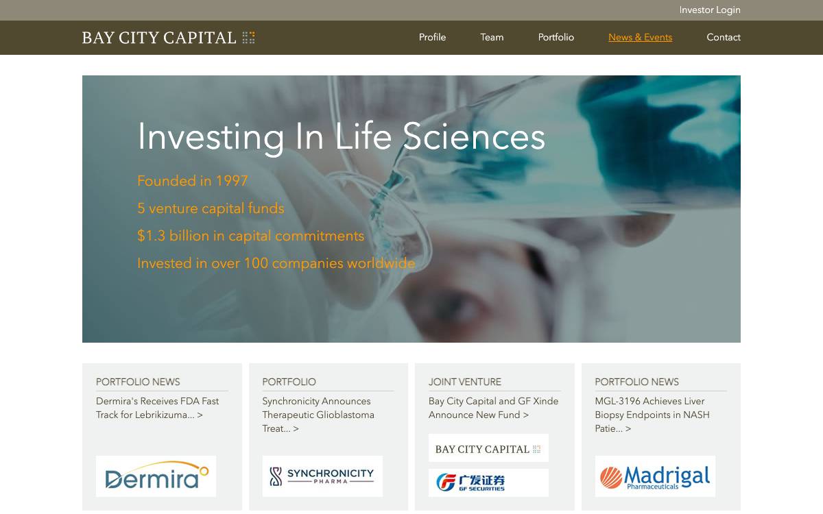 Bay City Capital website preview