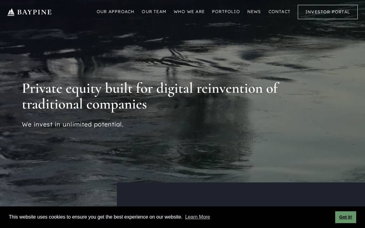 BayPine website preview