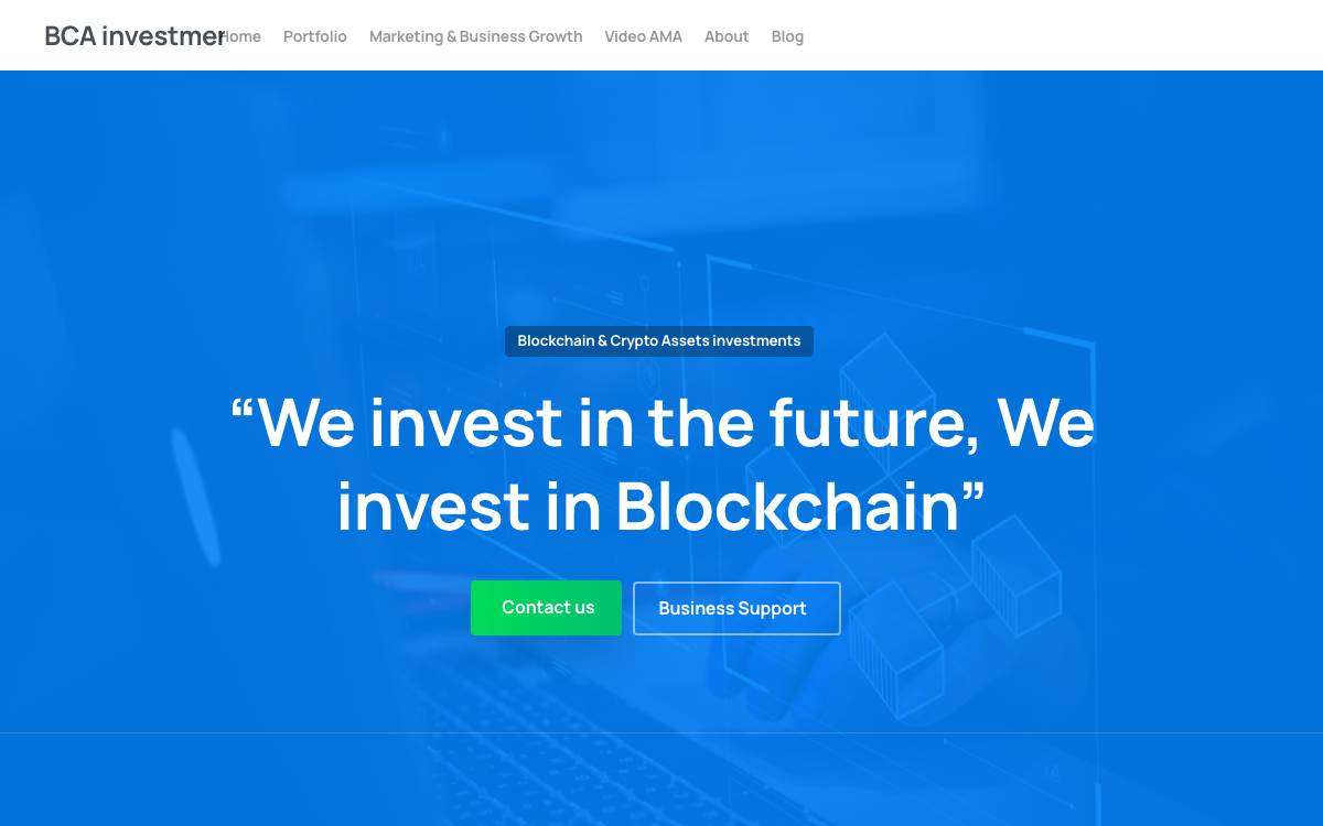 BCA Investments website preview