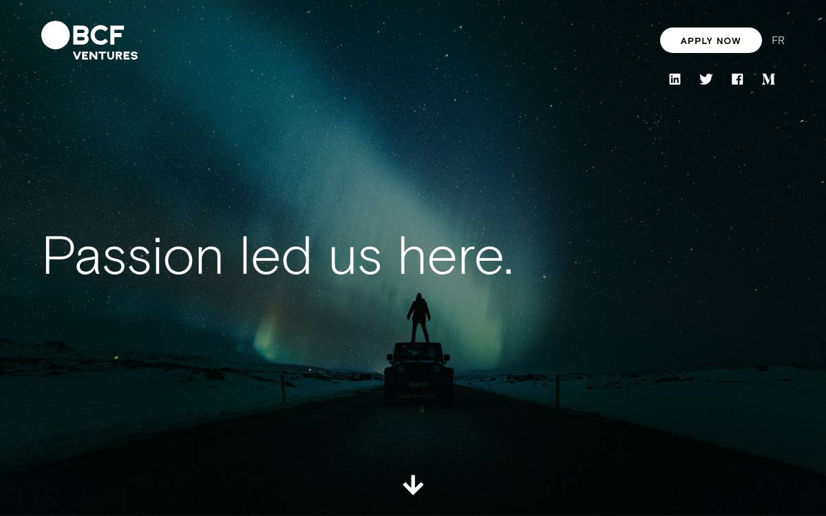 BCF Ventures website preview