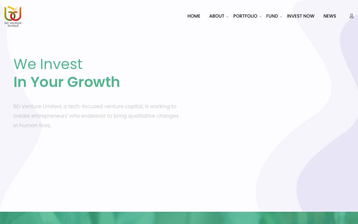BD Venture website preview
