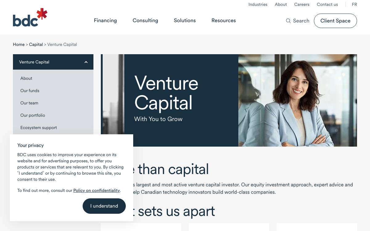 BDC Venture Capital website preview