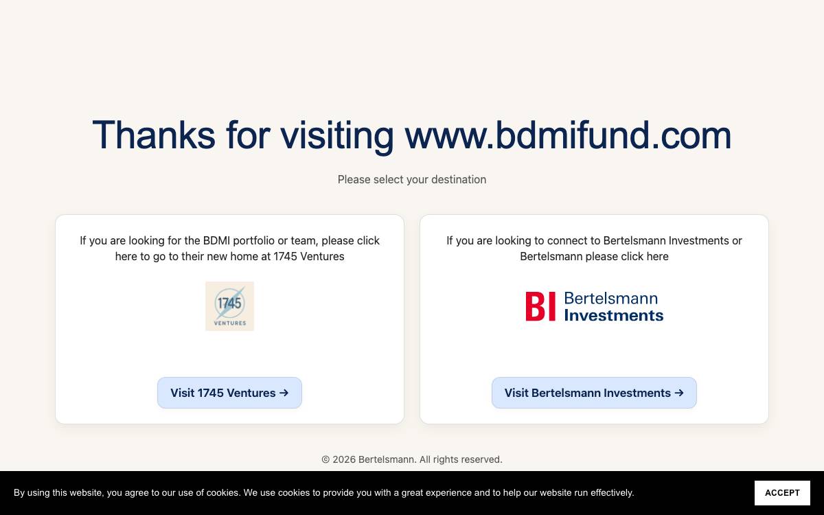 BDMI website preview