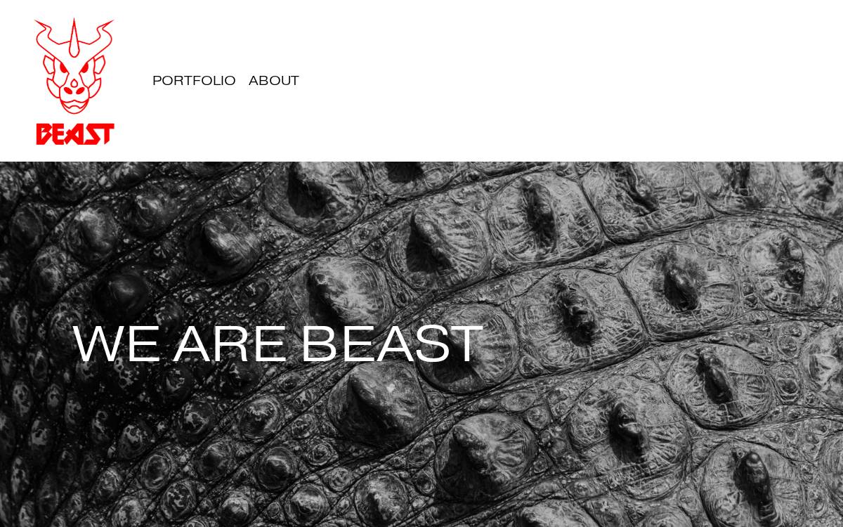 Beast Ventures website preview