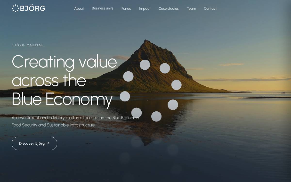 Berg Capital Group website preview