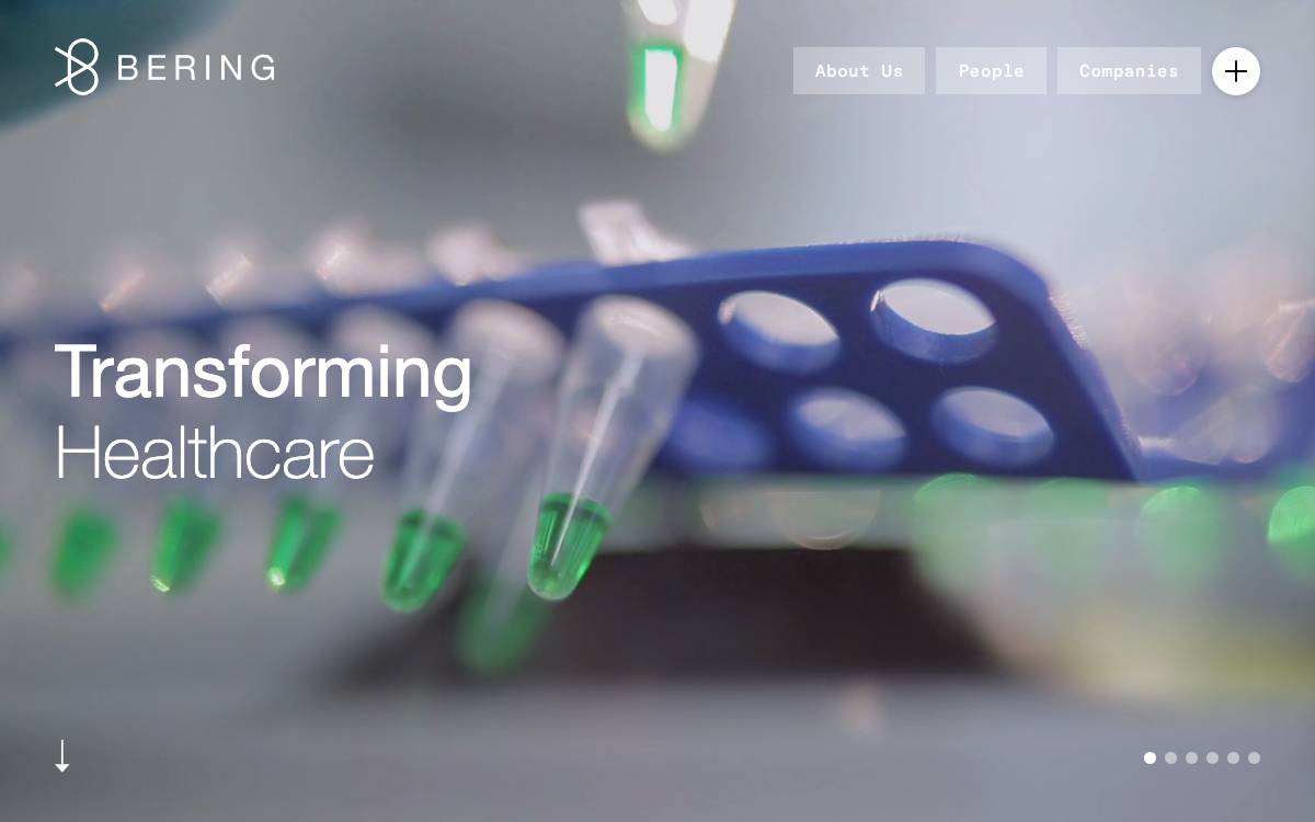 Bering Capital website preview