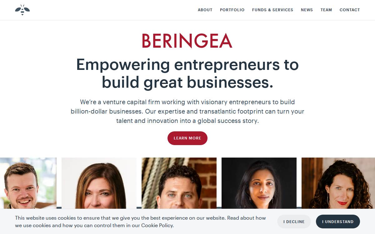 Beringea website preview