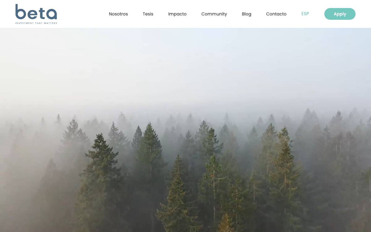 Beta Impacto website preview