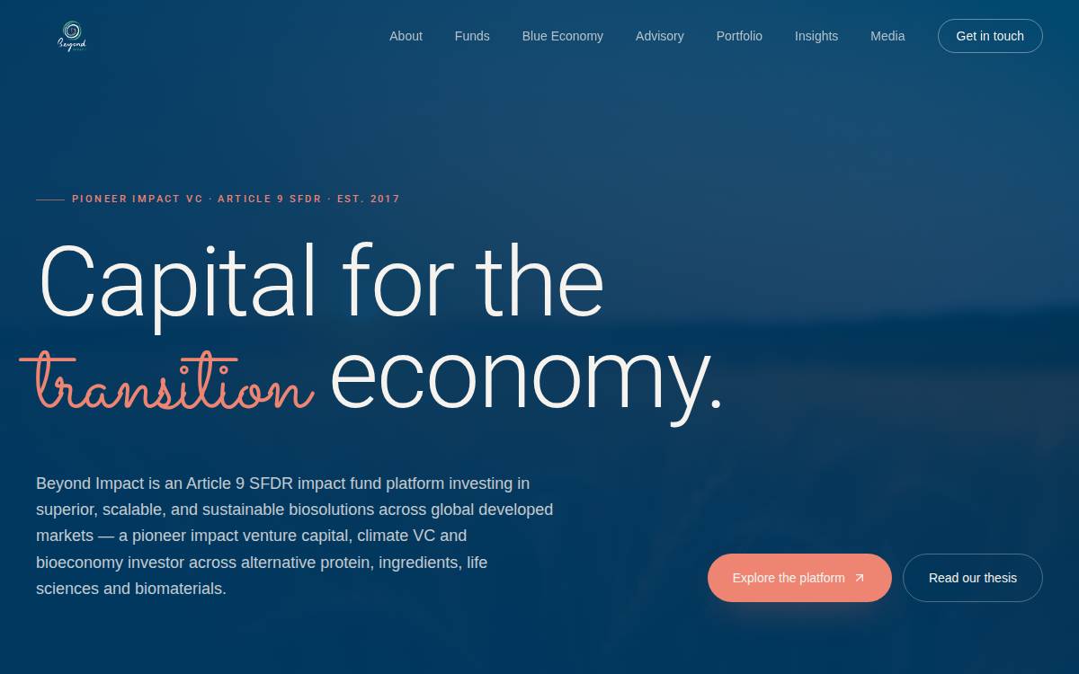 Beyond Impact website preview