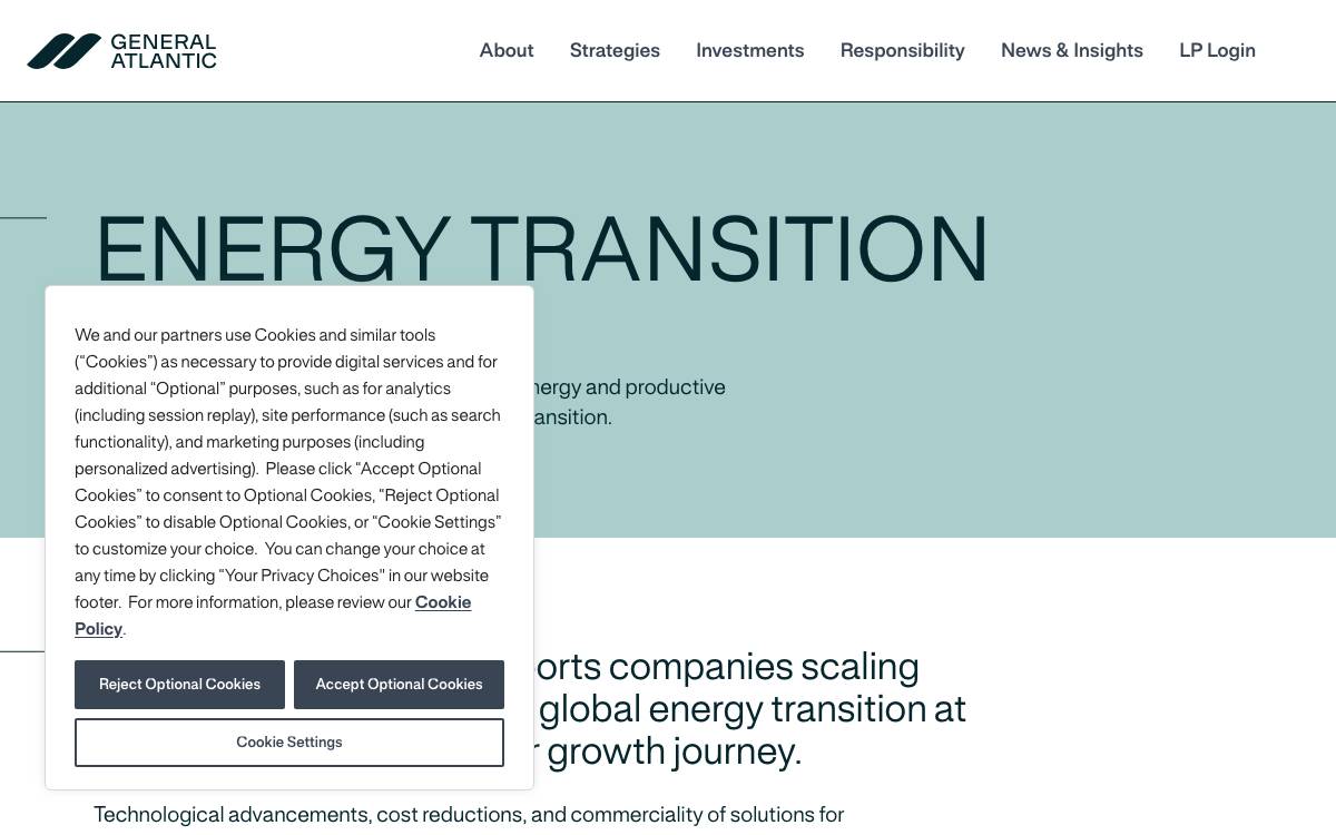 Beyond Net Zero website preview